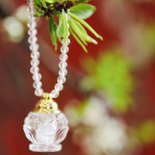 Bảo Bình Bạch Liên Hoa